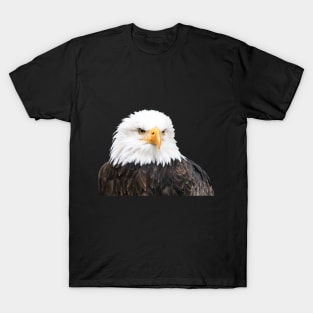 Bald eagle T-Shirt